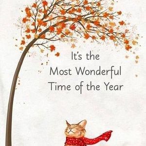 Meet your Posher, Kay